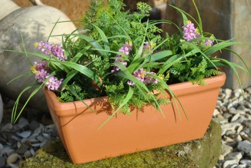 Pflanzkasten,Blumenkasten,terracotta,italienische Terracotta 