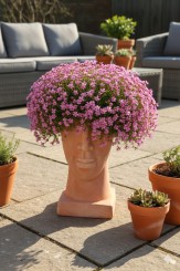 Frauenkopf, bepflanzbar, terracotta , 41cm, frostbeständig 