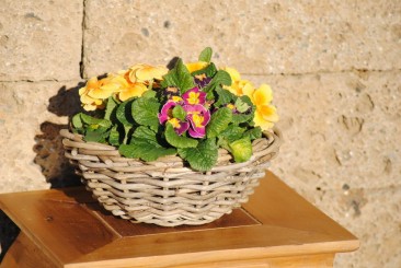 Weidenkorb, sehr stabil, flache Schale, bepflanzbar 30cm