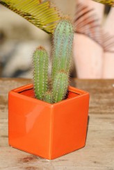 Übertöpfe,Kräutertöpfe,schlichte eckige Form,2 tolle Farben,2er Set,urban jungle 