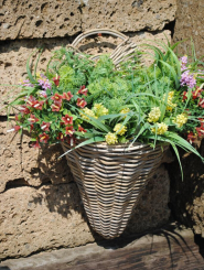 Wandgefäß,Wandhänger aus Weide,Handarbeit,bepflanzbar,51cm hoch,Hängepflanze 