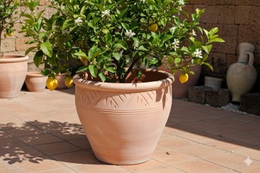 Pflanzkübel,Streifenmuster,Blumentopf,Terracotta hell,frostfest!3 Größen wählbar 