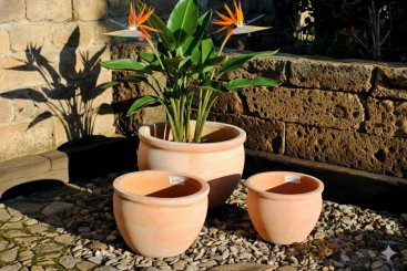 Pflanzkübel,Pflanzgefäß,Blumentopf,helles Terracotta,frostfest!3 Größen wählbar 20cm