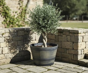 Pflanzgefäß,Pflanzwanne,Miniteich,Kunststoff,in Holzoptik,in 3 Größen lieferbar 