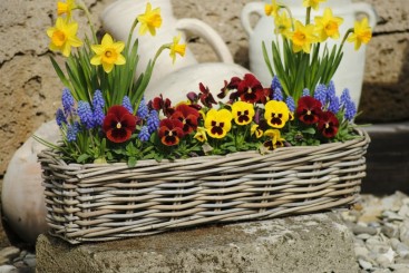 Weidenkorb,Blumenkasten,sehr stabil,bepflanzbar,naturbelassen,drei Größen lieferbar 