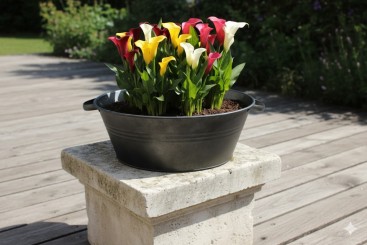 Zinkwanne,mit Henkeln,anthrazit/Schwarz,Miniteich,40cm Durchmesser,Art.114202 