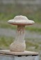morepic-3